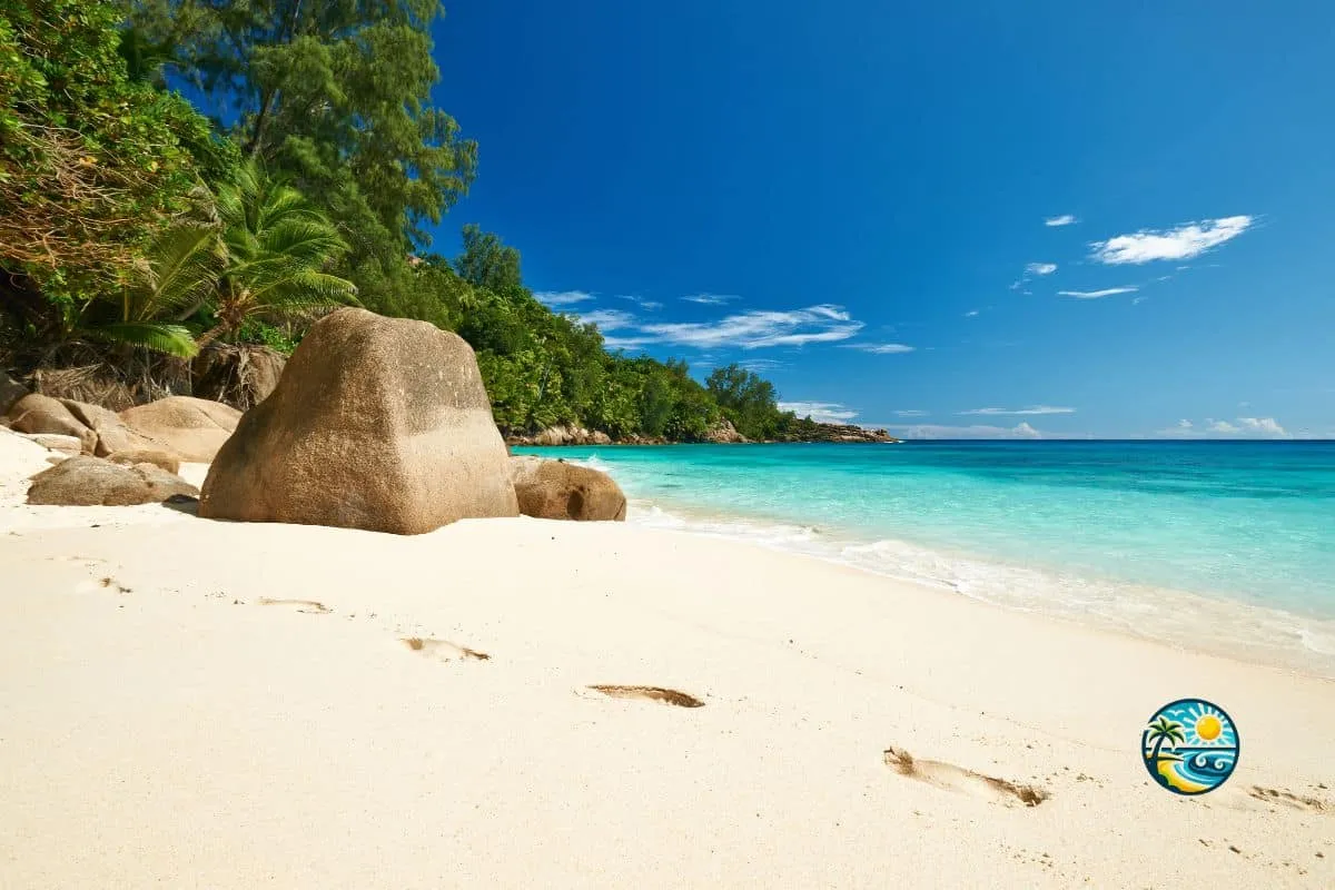 anse-intendance