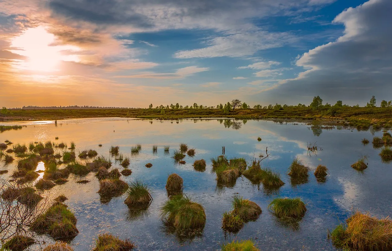 Geheimtipp Ardennen: Warum dieses Naturparadies oft unterschätzt wird