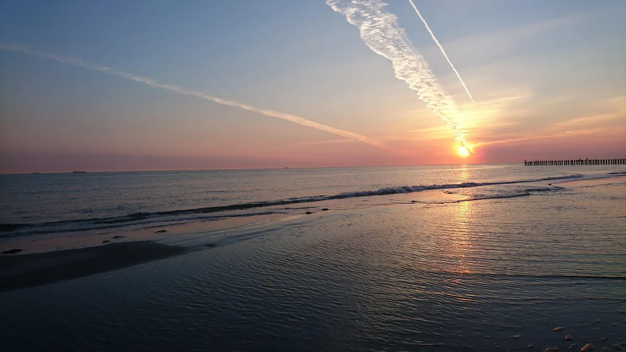 Bernstein am Strand erkennen: So findest du echtes Gold der Ostsee